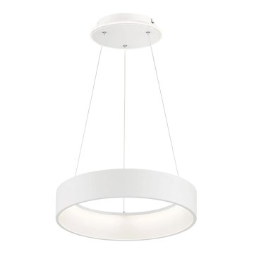 Wofi 11489FW - Lámpara de araña LED regulable en cadena SHAY LED/31,5W/230V 3000K blanco