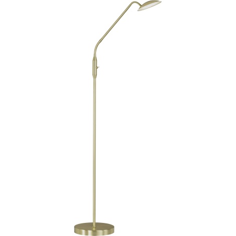 Lámpara de pie LED regulable 23 W