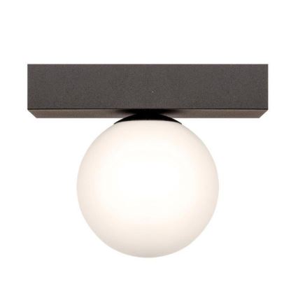 Zuma Line - Plafón 1xG9/8W/230V negro