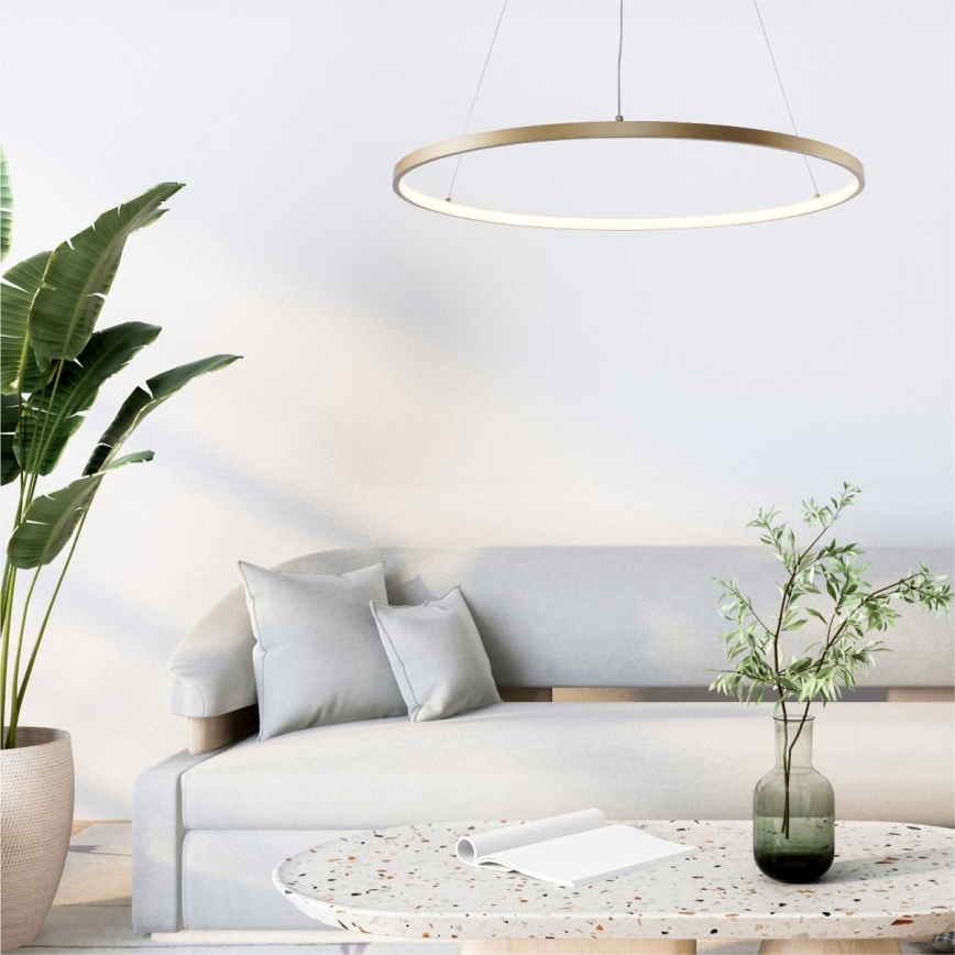 Zuma Line - Lámpara LED colgante LED/36W/230V 3000/4000/6000K diá. 80 cm dorado