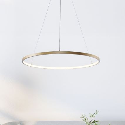 Zuma Line - Lámpara LED colgante LED/36W/230V 3000/4000/6000K diá. 80 cm dorado