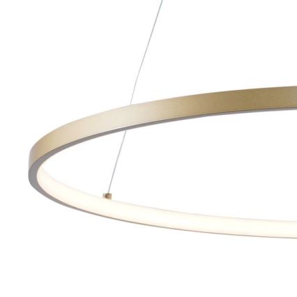 Zuma Line - Lámpara LED colgante LED/36W/230V 3000/4000/6000K diá. 80 cm dorado