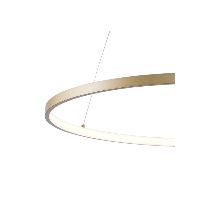 Zuma Line - Lámpara LED colgante LED/36W/230V 3000/4000/6000K diá. 80 cm dorado