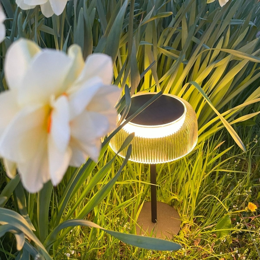 Zuma Line - Lámpara solar LED recargable y regulable LED/2,5W/2000 mAh IP44 negro