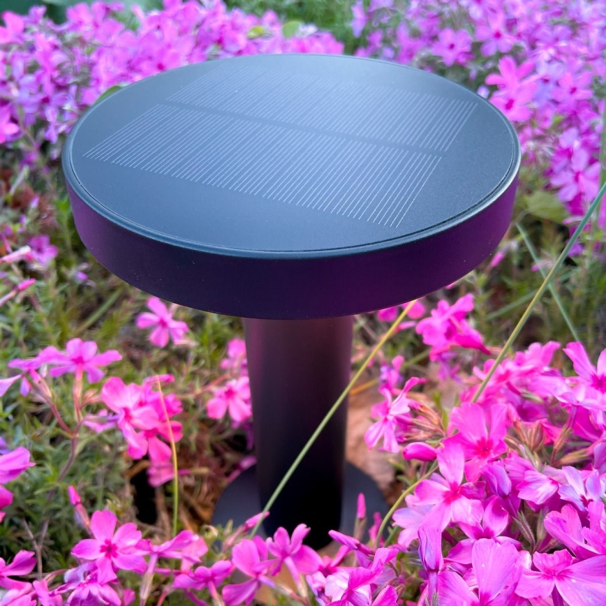 Zuma Line - Lámpara de mesa LED solar recargable y regulable LED/2W/2000 mAh IP44 negro