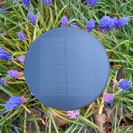 Zuma Line - Lámpara de mesa LED solar recargable y regulable LED/2W/2000 mAh IP44 negro