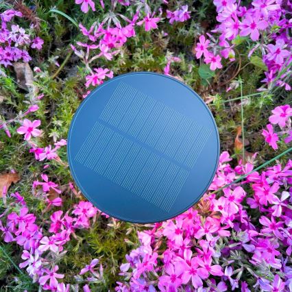 Zuma Line - Lámpara de mesa LED solar recargable y regulable LED/2W/2000 mAh IP44 negro