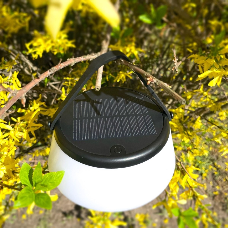 Zuma Line - Lámpara solar recargable y regulable LED/2,2W/2000mAh IP44 negro