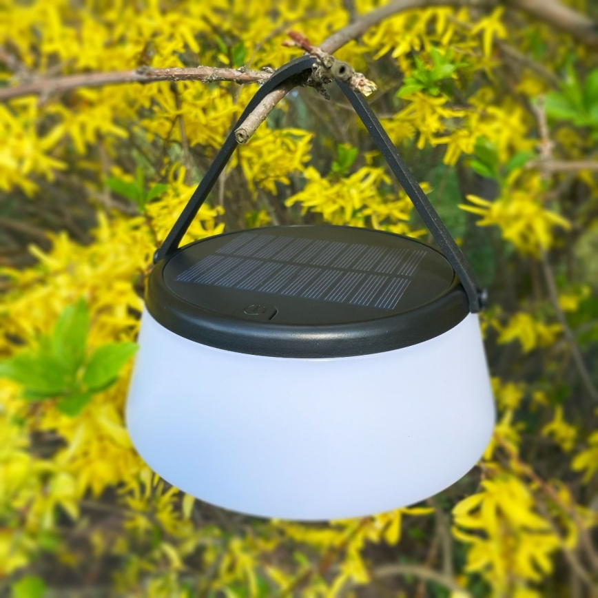 Zuma Line - Lámpara solar recargable y regulable LED/2,2W/2000mAh IP44 negro