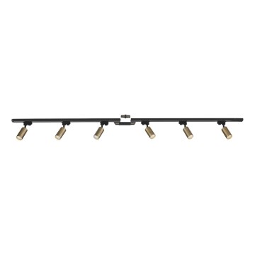 Zuma Line - Foco para sistema de rieles 6xGU10/35W/230V negro/dorado