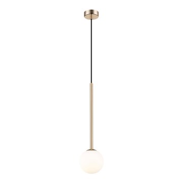 Zuma Line - Lámpara colgante 1xG9/4W/230V dorado