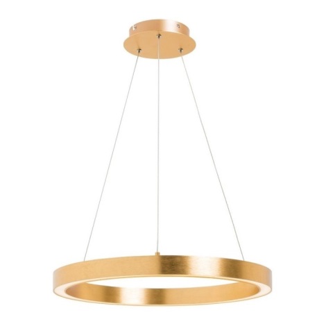 Zuma Line - Lámpara colgante LED LED/40W/230V 50 cm diámetro dorado