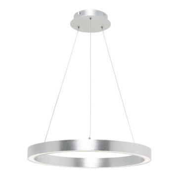 Zuma Line - Lámpara colgante LED LED/40W/230V 60cm diámetro plata