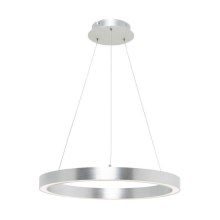 Zuma Line - Lámpara colgante LED LED/40W/230V diámetro 50cm plata