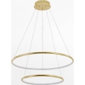 Zuma Line - Lámpara LED colgante LED/40W/230V dorado