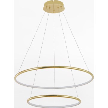 Zuma Line - Lámpara LED colgante LED/40W/230V dorado