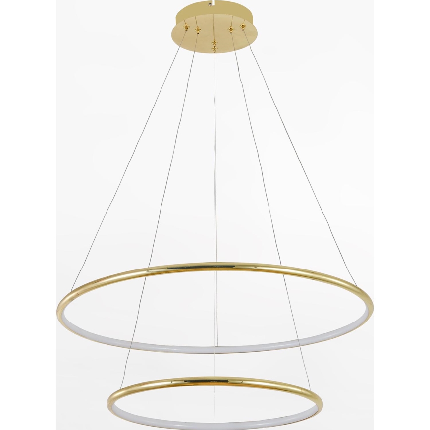 Zuma Line - Lámpara LED colgante LED/40W/230V dorado