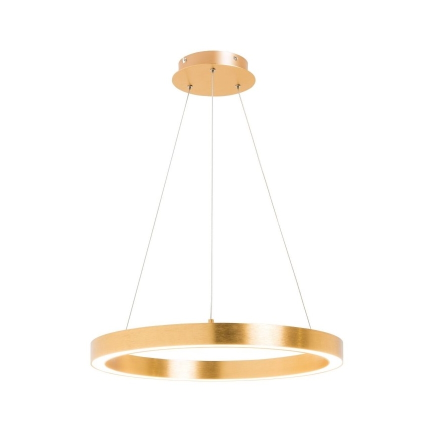 Zuma Line - Lámpara de araña LED de cable 1xLED/30W/230V 40 cm dorado
