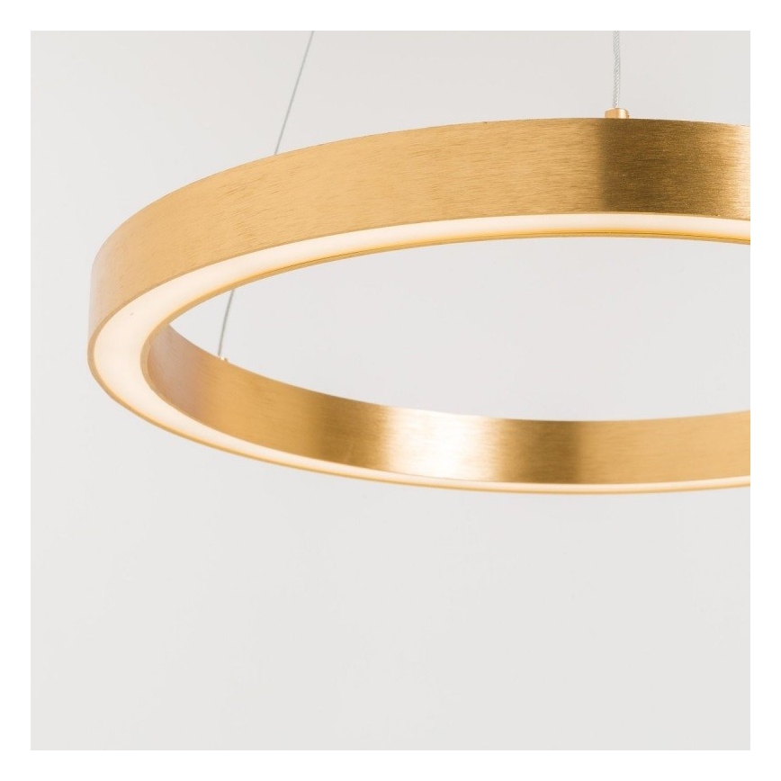 Zuma Line - Lámpara de araña LED de cable 1xLED/30W/230V 40 cm dorado