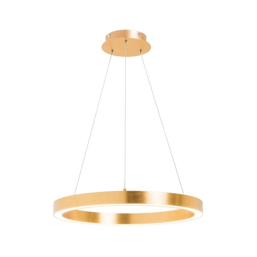 Zuma Line - Lámpara colgante LED LED/40W/230V 50 cm diámetro dorado