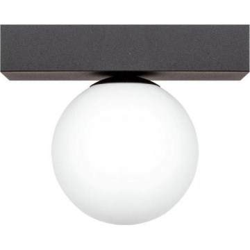 Zuma Line - Plafón 1xG9/8W/230V negro
