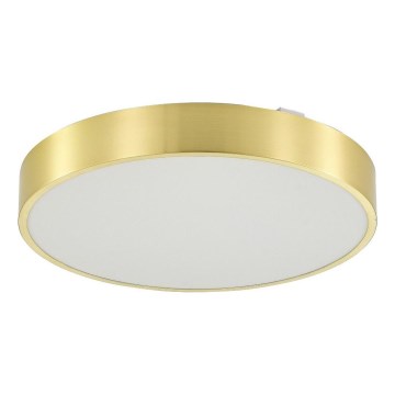 Zuma Line - Plafón de baño LED regulable LED/36W/230V 3000-6000K d. 40 cm IP44 dorado + mando a distancia