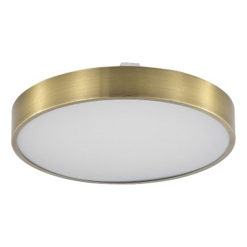 Zuma Line - Plafón de baño LED regulable LED/50W/230V 3000-6000K d. 50 cm IP44 latón + mando a distancia