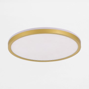Zuma Line - Plafón LED regulable LED/26,5W/230V + LED/6,5W 3000/4000/5500K diá. 32 cm dorado