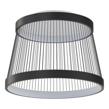 Zuma Line - Plafón LED regulable LED/32W/230V 2700-6000K negro + control remoto