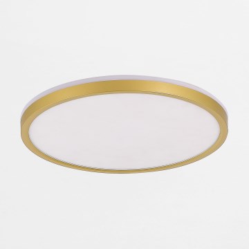 Zuma Line - Plafón LED regulable LED/38W/230V + LED/11W 3000/4000/5500K diá. 50 cm dorado