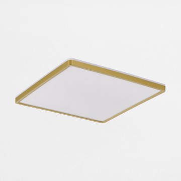 Zuma Line - Plafón LED regulable LED/38W/230V + LED/12W 3000/4000/5500K 40x40 cm dorado