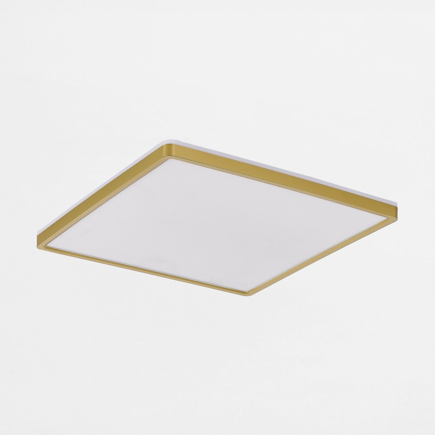 Zuma Line - Plafón LED regulable LED/38W/230V + LED/12W 3000/4000/5500K 40x40 cm dorado