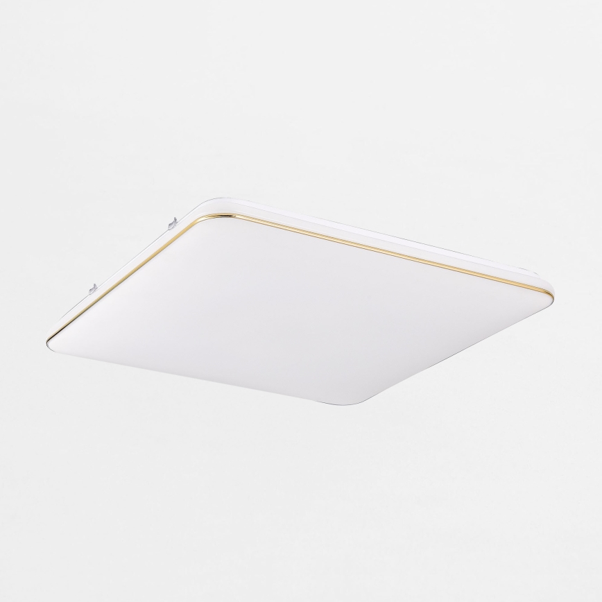 Zuma Line - Plafón LED regulable LED/48W/230V 53x53 cm dorado